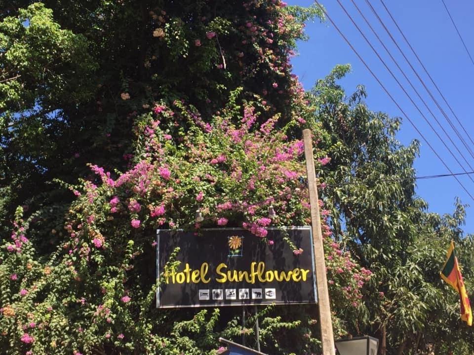 Hotel Sunflower Kataragama Dış mekan fotoğraf