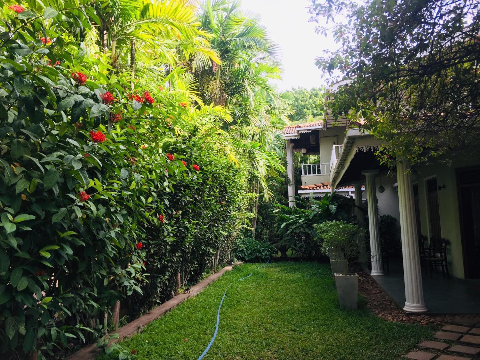 Hotel Sunflower Kataragama Dış mekan fotoğraf